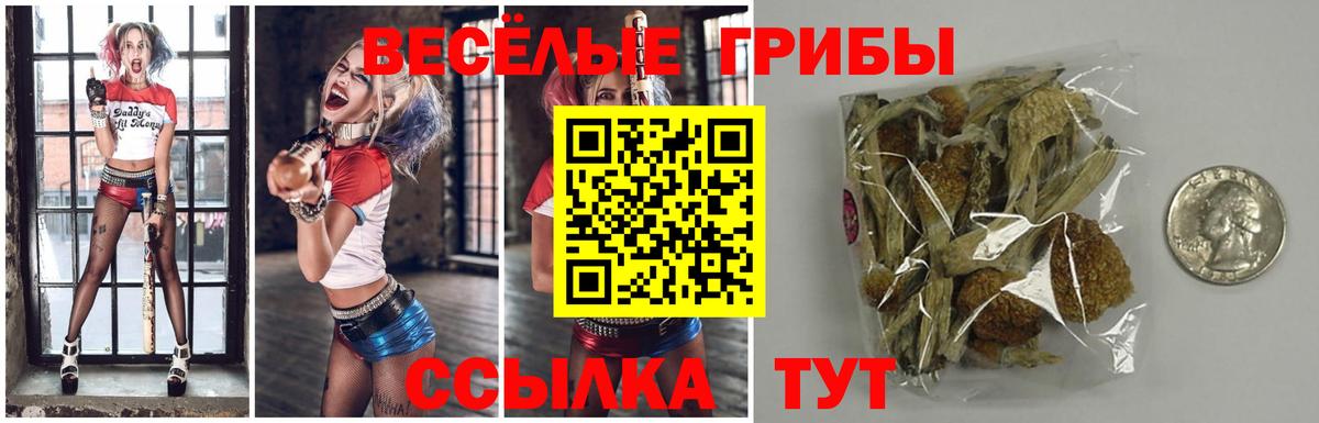 Псилоцибиновые грибы мухоморы Бахчисарай
